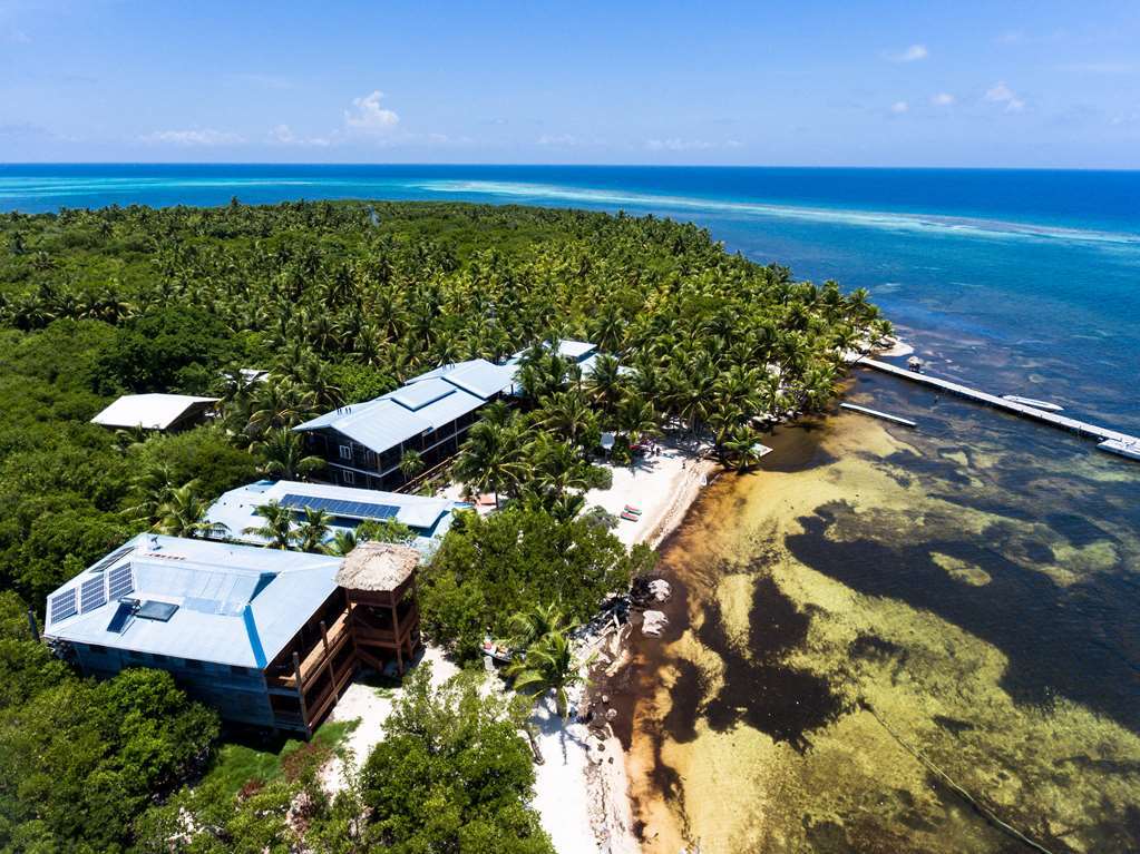 Itza Resort Long Caye Eksteriør bilde